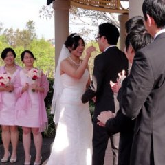 Sydney Marriage Celebrant - Ceremonies By Cath